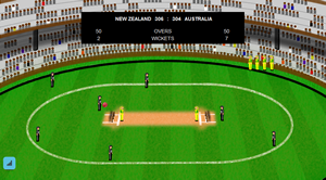 IPL cricket Indian league 